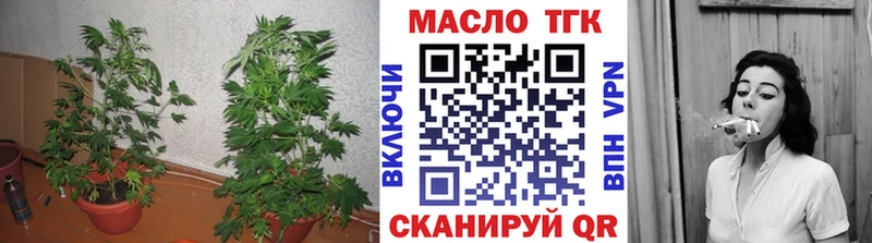 ссылка на мегу ССЫЛКА Ханты-Мансийск ТГК жижа